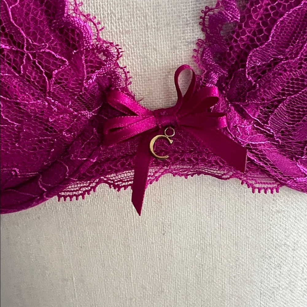 Chantelle Opera Push-Up Bra - Picture 3 of 9